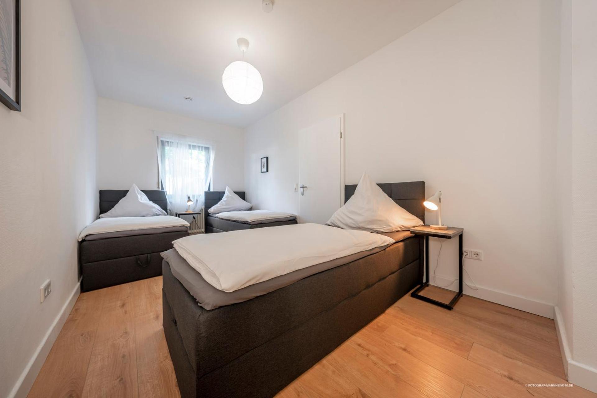 Xxl Design-Appartement Highdesign 10 Pers Zentral Naehe Heidelberg Und Mannheim Вайнхайм Екстериор снимка