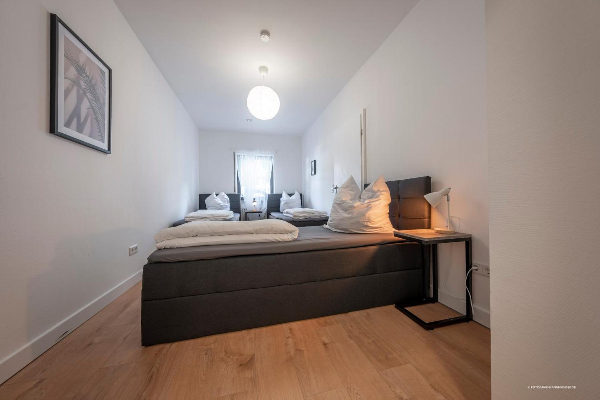 Xxl Design-Appartement Highdesign 10 Pers Zentral Naehe Heidelberg Und Mannheim Вайнхайм Екстериор снимка